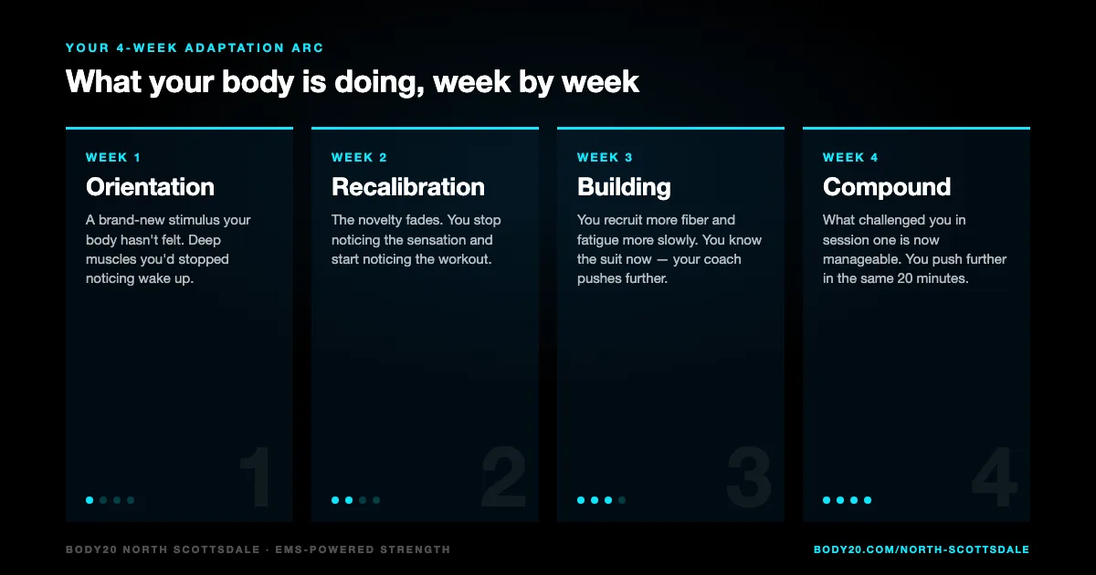 Your 4-week adaptation arc — Week 1 Orientation, Week 2 Recalibration, Week 3 Building, Week 4 Compound: what your body is doing week by week.